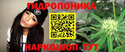 марки lsd Пугачёв