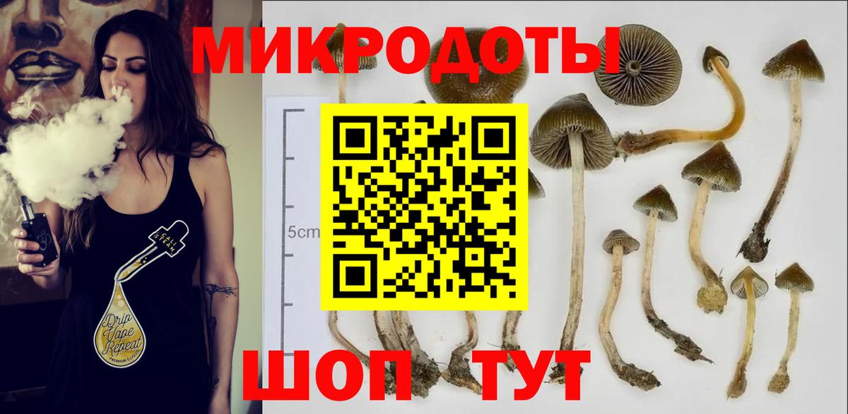 Галлюциногенные грибы MAGIC MUSHROOMS  Вход с VPN  Нягань 